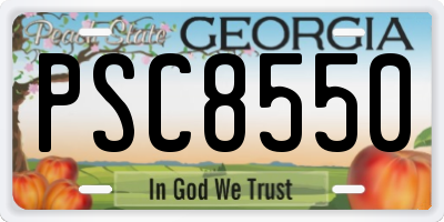 GA license plate PSC8550
