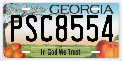 GA license plate PSC8554