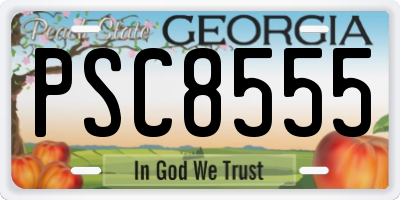 GA license plate PSC8555