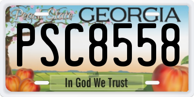 GA license plate PSC8558
