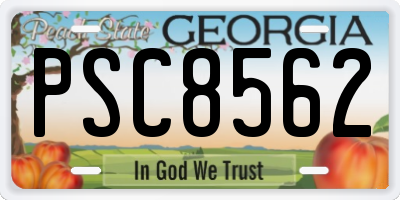 GA license plate PSC8562