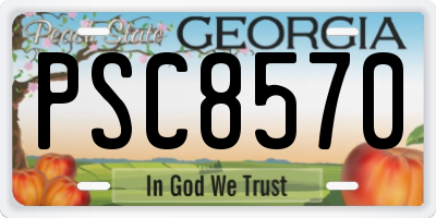 GA license plate PSC8570