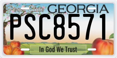 GA license plate PSC8571