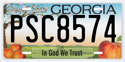 GA license plate PSC8574