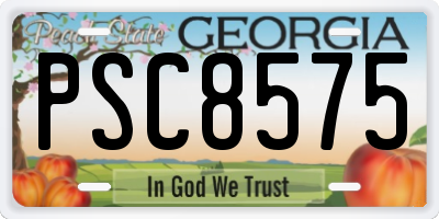 GA license plate PSC8575