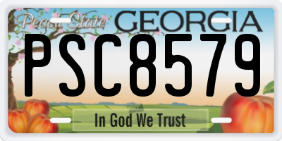 GA license plate PSC8579