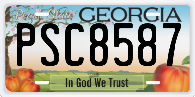 GA license plate PSC8587