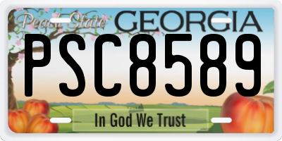 GA license plate PSC8589
