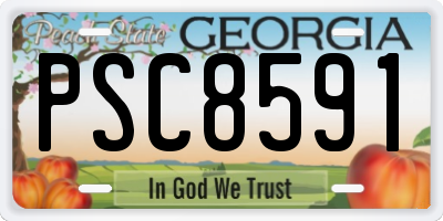 GA license plate PSC8591