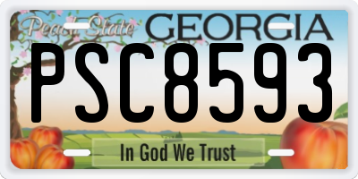 GA license plate PSC8593