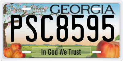 GA license plate PSC8595