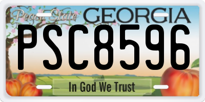 GA license plate PSC8596