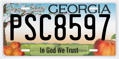 GA license plate PSC8597