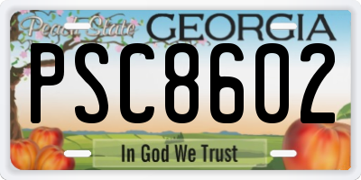 GA license plate PSC8602