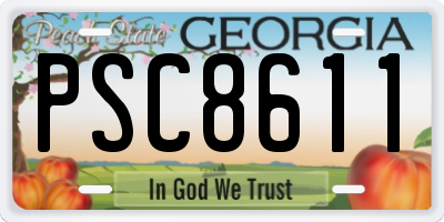 GA license plate PSC8611