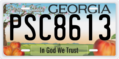 GA license plate PSC8613