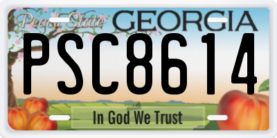GA license plate PSC8614