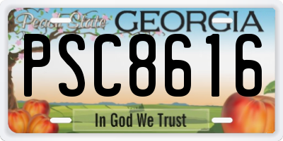 GA license plate PSC8616