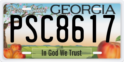 GA license plate PSC8617