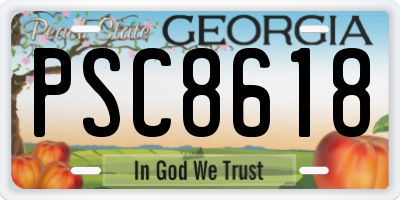 GA license plate PSC8618
