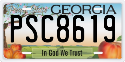 GA license plate PSC8619