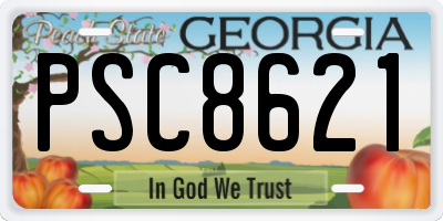 GA license plate PSC8621