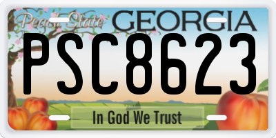 GA license plate PSC8623
