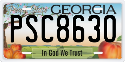 GA license plate PSC8630
