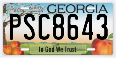 GA license plate PSC8643