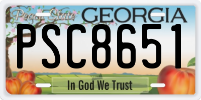GA license plate PSC8651