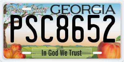 GA license plate PSC8652