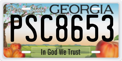 GA license plate PSC8653
