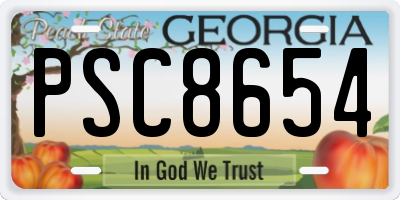 GA license plate PSC8654