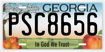 GA license plate PSC8656