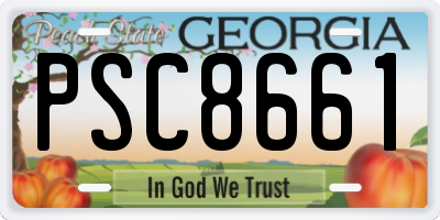 GA license plate PSC8661