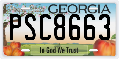 GA license plate PSC8663