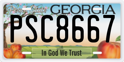 GA license plate PSC8667