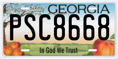 GA license plate PSC8668