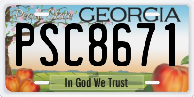 GA license plate PSC8671