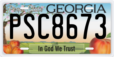 GA license plate PSC8673