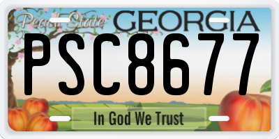 GA license plate PSC8677