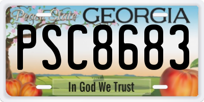 GA license plate PSC8683