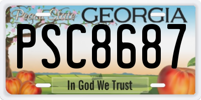 GA license plate PSC8687