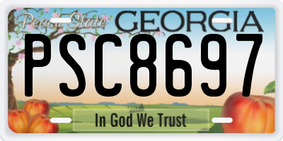 GA license plate PSC8697