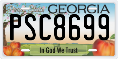 GA license plate PSC8699