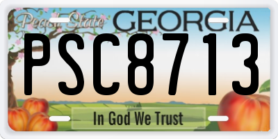 GA license plate PSC8713