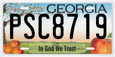 GA license plate PSC8719
