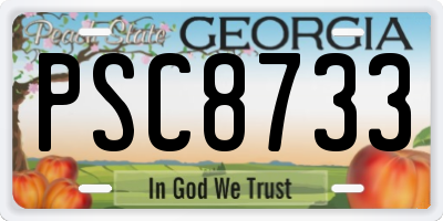 GA license plate PSC8733