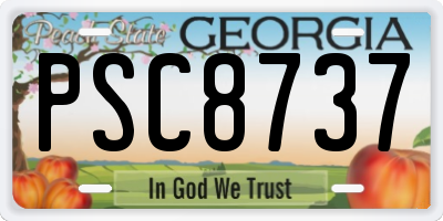 GA license plate PSC8737