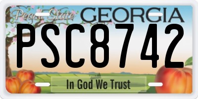 GA license plate PSC8742